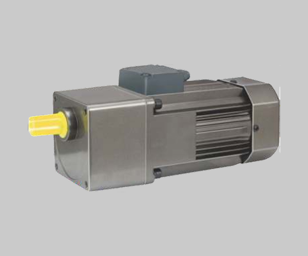 FHP geared motor 
